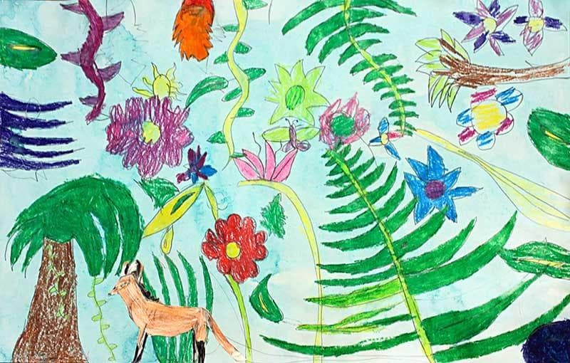 Into the Jungle: Drawing on Imagination