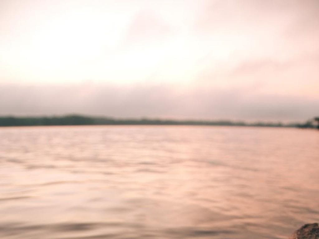 Knowledge in a time of crisis