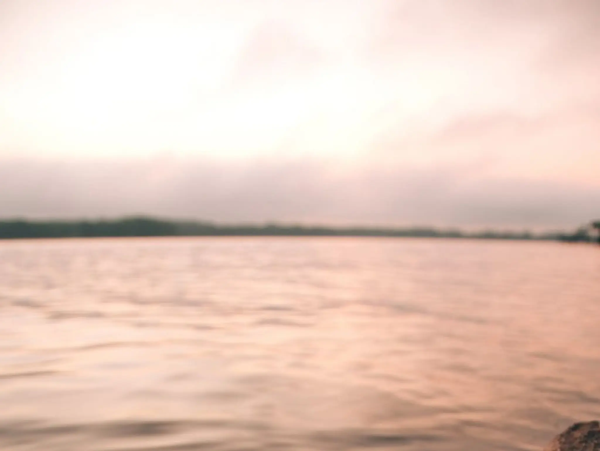 Knowledge in a time of crisis