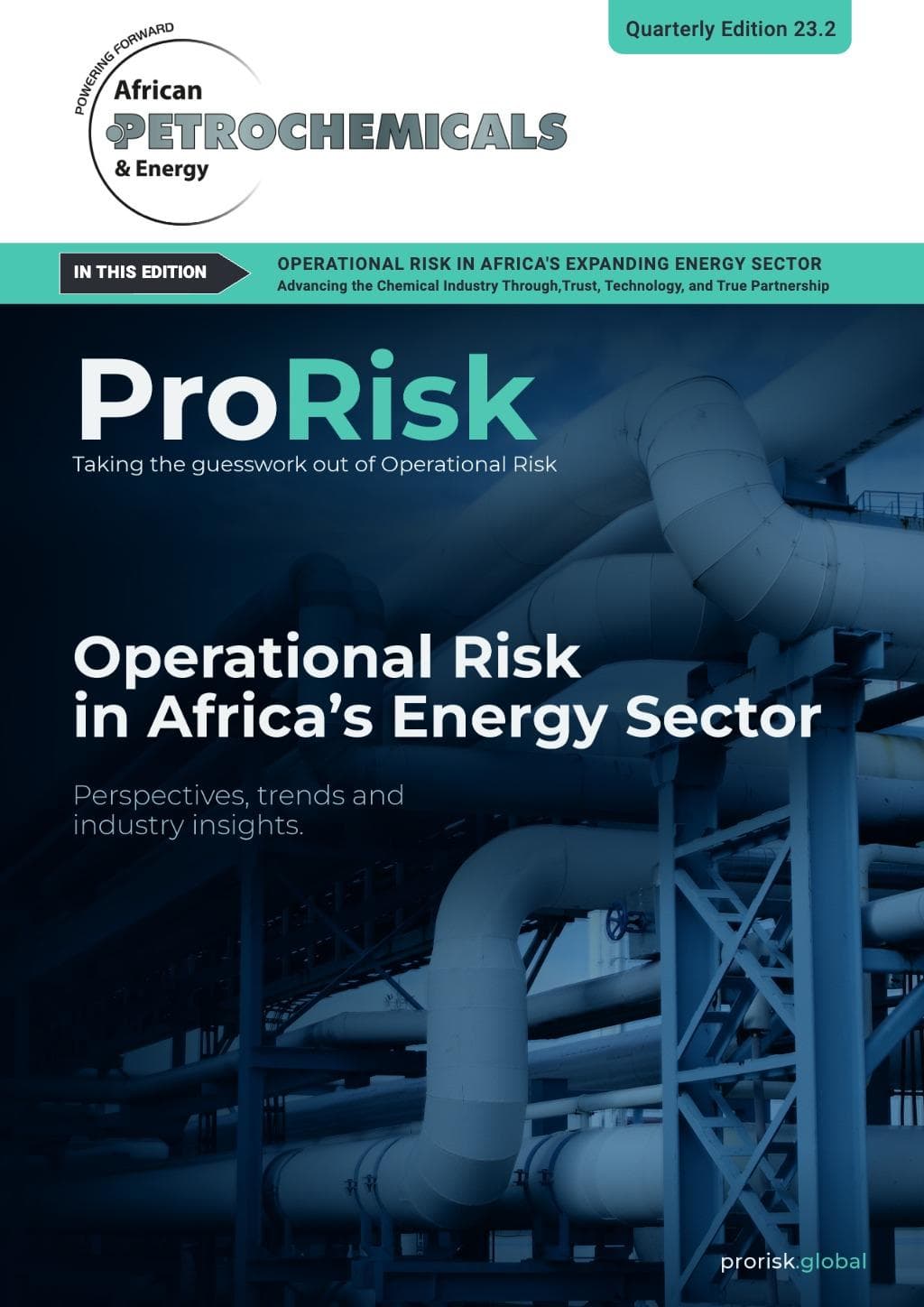 African Petrochemicals June Edition 23.2