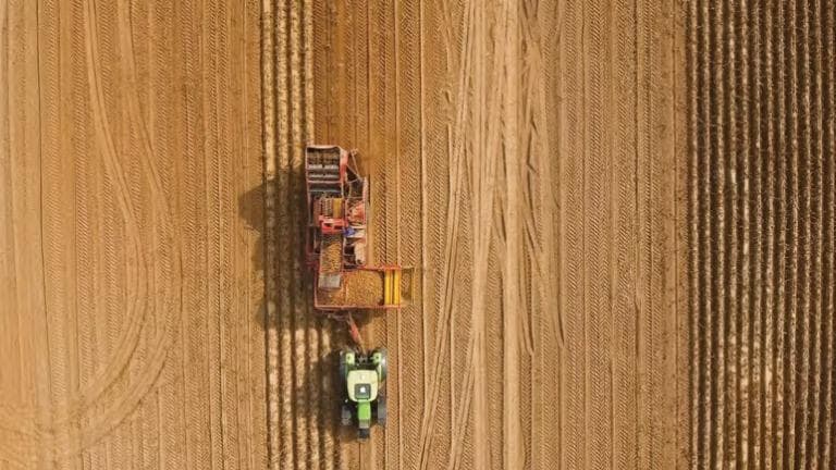 Graduate students contribute to potato research