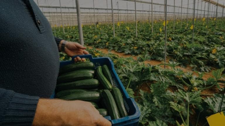 President’s Report