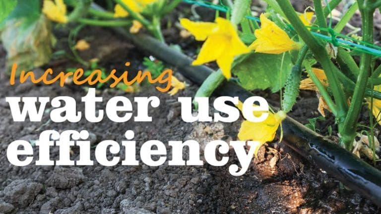 Increasing water use efficiency