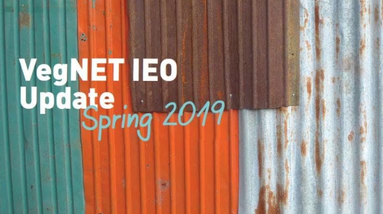 VegNET IEO update