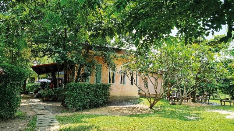 ลองอ่าน 450  ไตรพัฒน์ ชุมชนแห่งการเพาะบ่มเมล็ดพันธุ์ให้เติบใหญ่เป็นต้นไม้ในแบบตนเอง