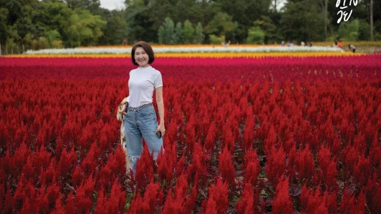 สุขต่างวัย - เมื่อแม่อยากเป็นนางแบบ