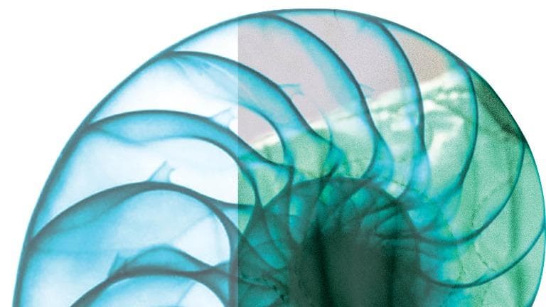 463 วิทย์คิดไม่ถึง การกลับชาติมาเกิด