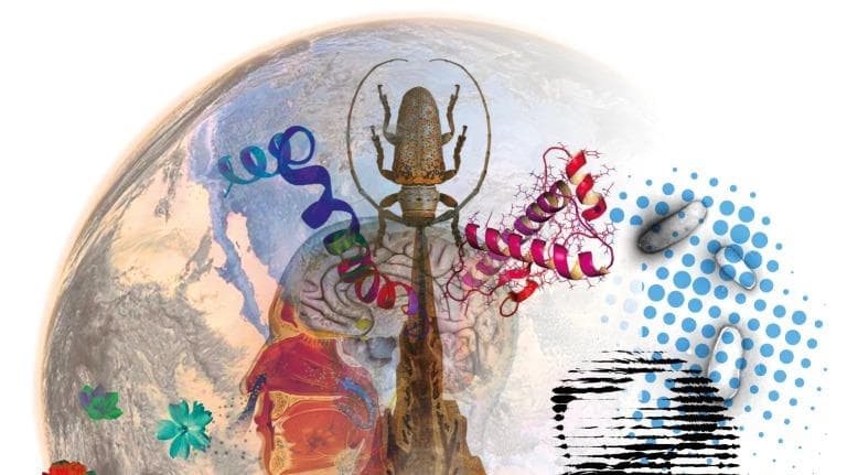 439 วิทย์คิดไม่ถึง เจ็ดสิ่งมหัศจรรย์