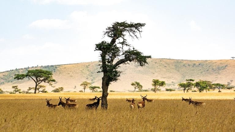 ลองอ่าน 407 Ethiopia