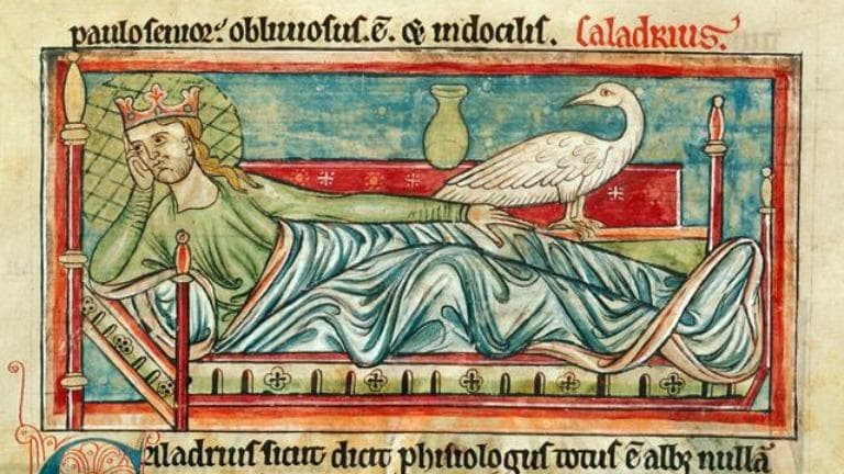 444 จากบรรณาธิการ ธรรมชาติบำบัด