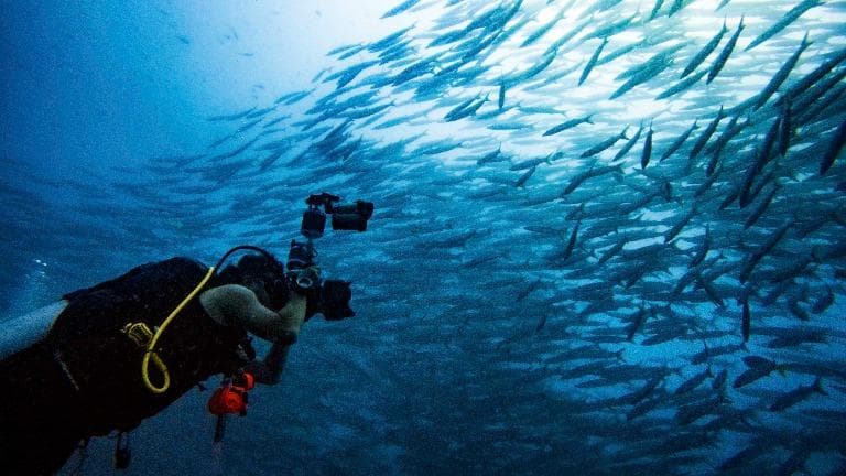 สุขหมุนรอบตัวเรา - รัก สู่ รักษ์ โลกใต้ทะเล