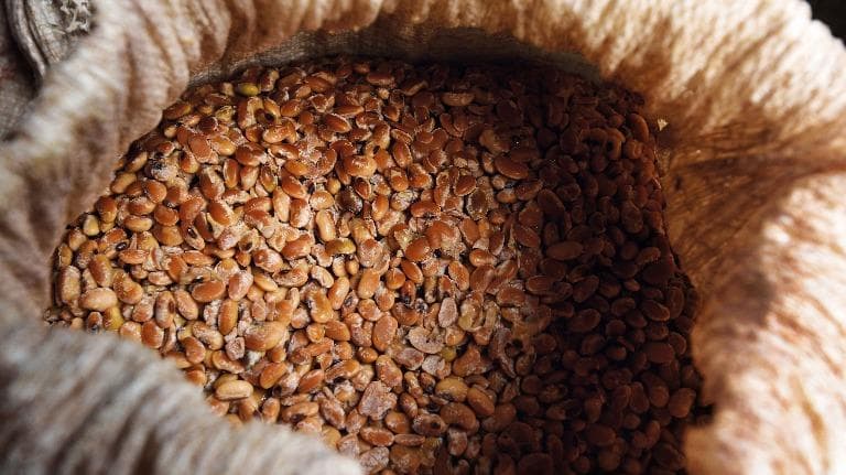 455 จากถั่วเหลืองสู่ถั่วเน่า รากเหง้าของชาวไทใหญ่