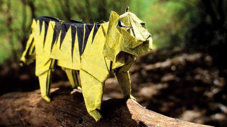 468 เบื้องหลัง... ภาพถ่ายสารคดี Joy of Photography