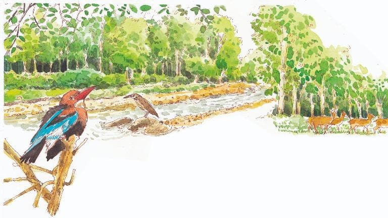 454 วาดเมือง ก่อนออกจากป่า