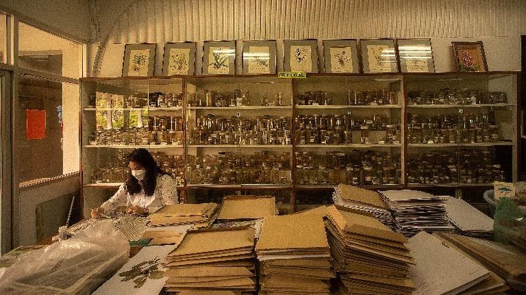 444 Hidden (in) museum เปิดโลกวิจัยพฤกษศาสตร์