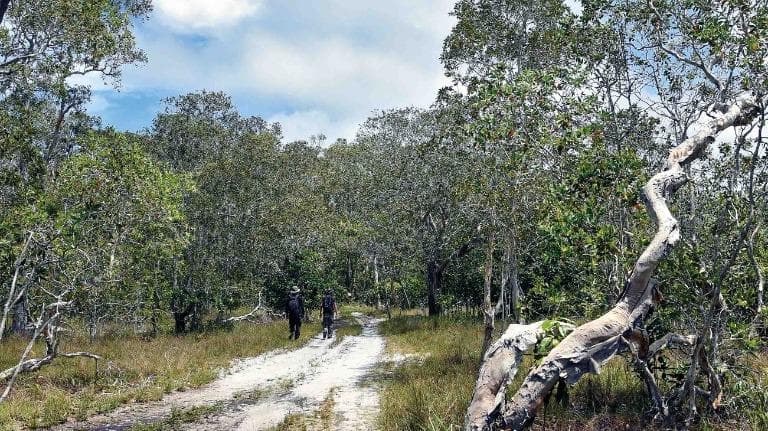 425 หาดท้ายเหมือง พังงา EP.02