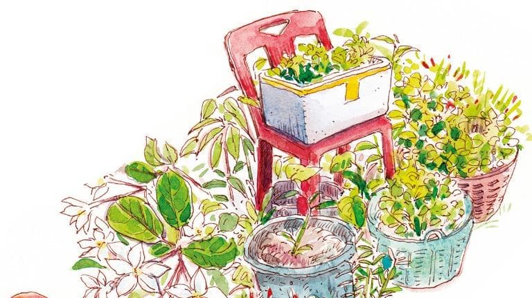 422 วาดเมือง อยู่บ้านหยุดเชื้อเพื่อชาติ