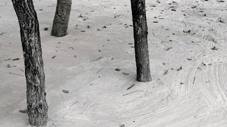 414 โคลง ฉันท์ กาพท์ กลอน มองเห็นราก ดั่งเช่นเห็นทรายผืน