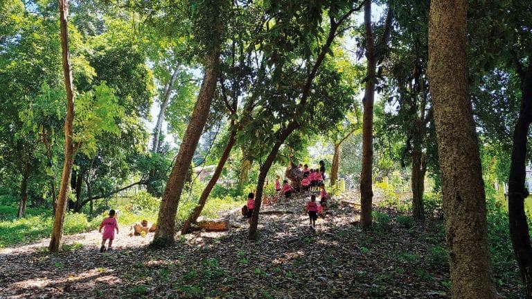 ลองอ่าน 450 “พวกเราเข้าป่า” ห้องเรียนอนุบาลที่ให้ธรรมชาติช่วยสอน