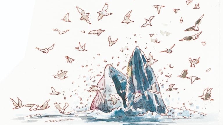 440 วาดเมือง ดูวาฬที่บางตะบูน