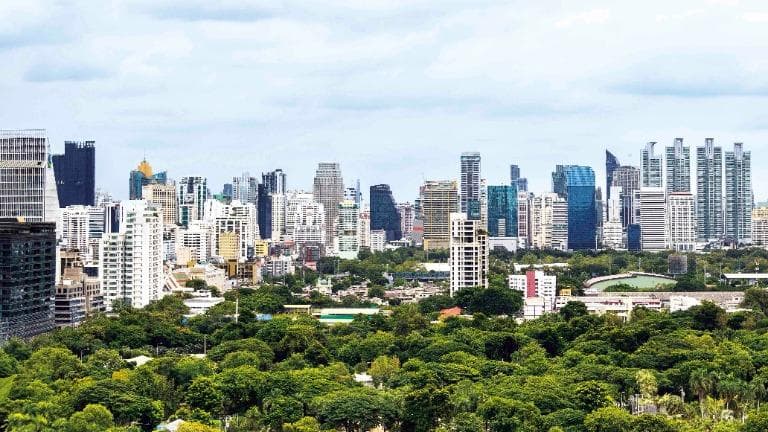 ลองอ่าน 464 การเดินทางใต้แมกไม้ ร่มเงาแห่งเมืองหลวง