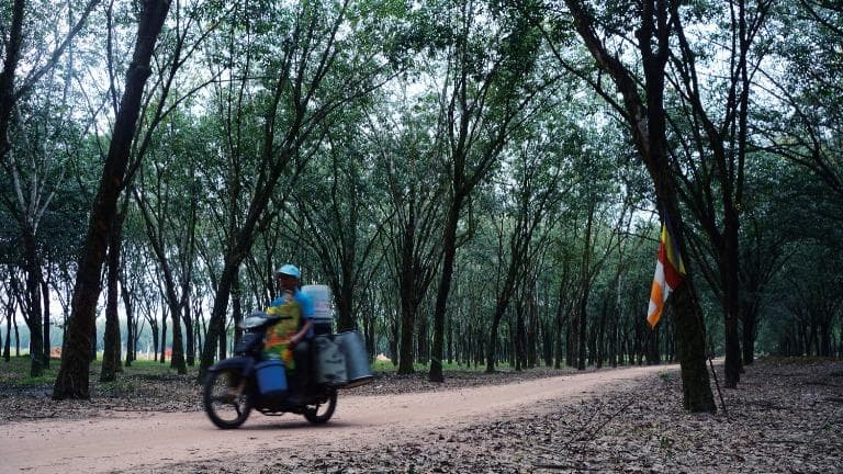 412 ทหารไทยใน "สมรภูมิเวียดนาม" ภาค 2