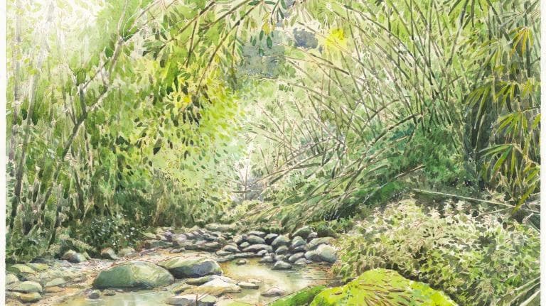 438 วาดเมือง วาดป่า