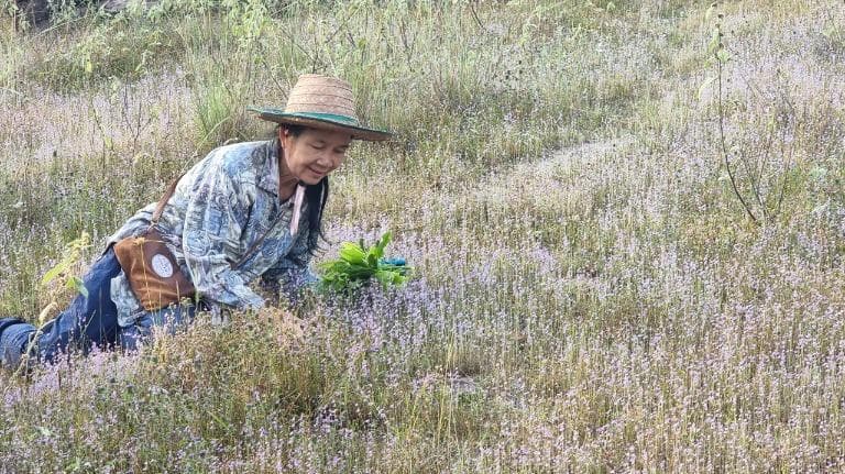 สุขหมุนรอบตัวเรา - ภูถ้ำ : ลานดอกไม้ สายธาร และตำนานป่าต้นน้ำ