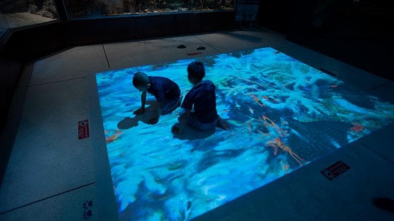 460 Hidden (in) Museum ป่าสนุกของนักวิจัยจิ๋ว