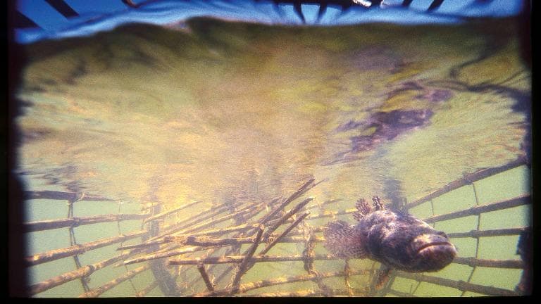 468 เบื้องหลัง... ภาพถ่ายสารคดี จินตนาการ+ดันทุรัง=รูปธรรม