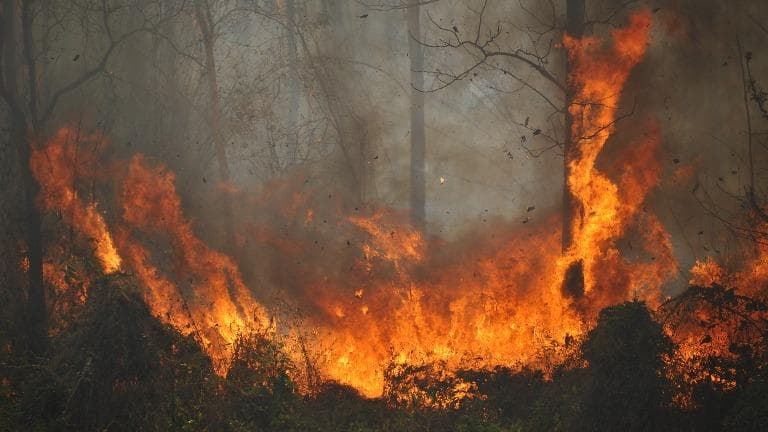 ลองอ่าน 442 อย่าลืมเชียงดาว เมื่อคราว ๒๕๖๒