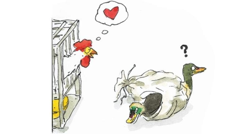 414 ท้ายครัว ตลาดเช้าเมืองเชียงรุ่ง