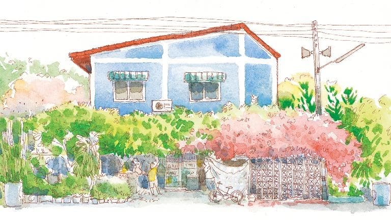 446 วาดเมือง ดอกหญ้าริมทาง