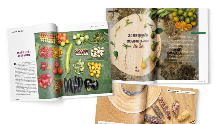 468 เบื้องหลัง... คอลัมน์ประจํา ธรรมชาติ ทำมาโชว์