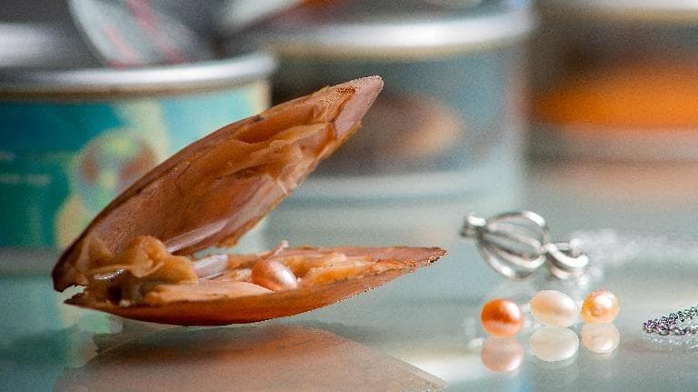 443 ธรรมชาติ ทํามาโชว์ เล่นมุก