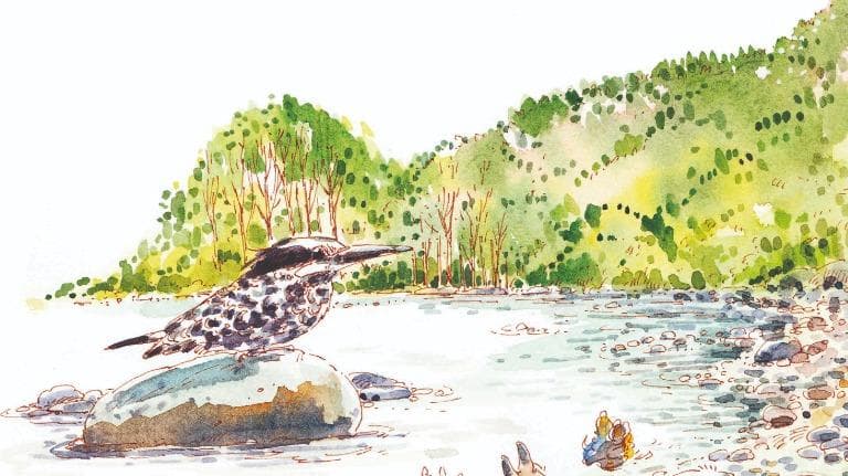 463 วาดเมือง อุตตรขัณท์