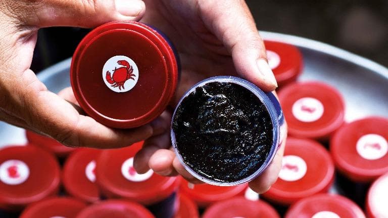 455 น้ำปู๋ดำ น้ำปู๋ลำ ของดีเมืองแจ้ห่ม