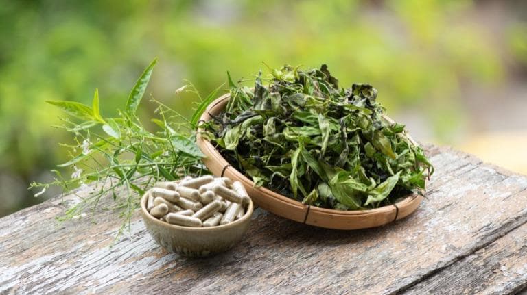 440 จากบรรณาธิการ เจ็ด-เจ็ด ขมเป็นยา