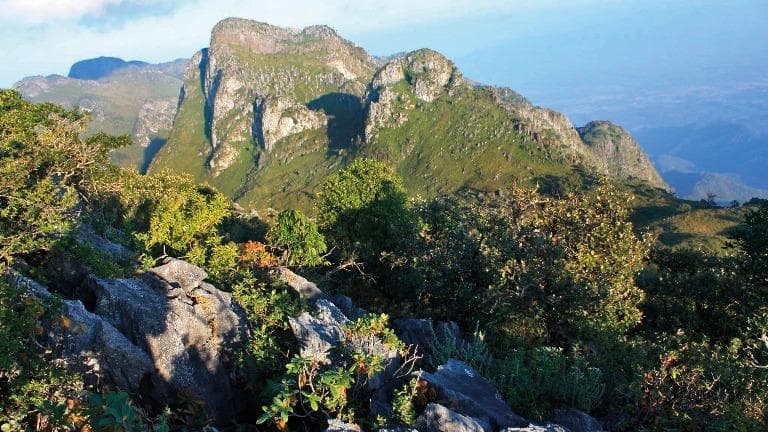 442 ปลด ปล่อย เปล่า ดอยหลวงเชียงดาว