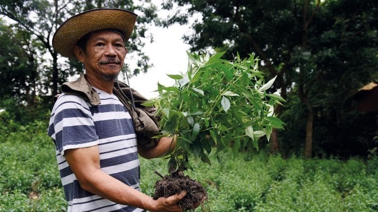 440 ต้นไม้ความหวัง ทางอีกสายสมุนไพรสู้โควิด EP.02