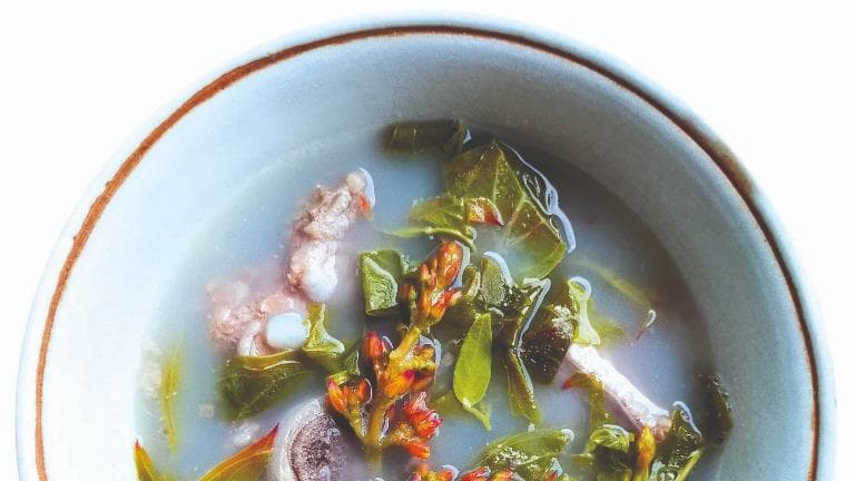 451 ท้ายครัว ปั่นกิน (ส้ม) ลม จากป่าริมทาง