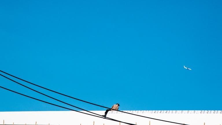 437 ปลด ปล่อย เปล่า ฤดูลา