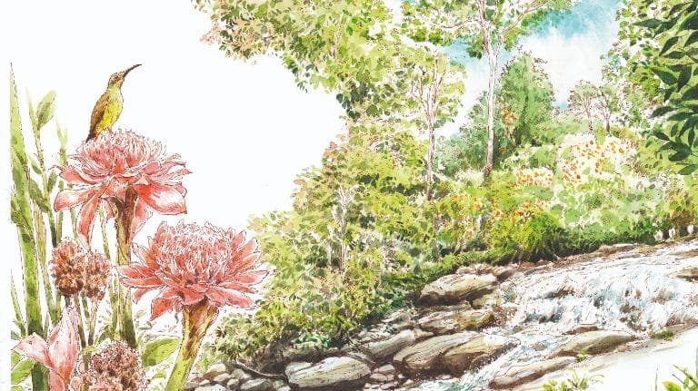 450 วาดเมือง น้ำตกธารโต