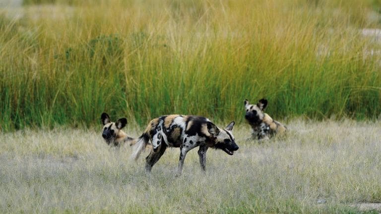 ลองอ่าน 407 Zambia Close to the Edge