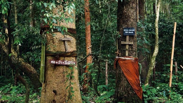 ลองอ่าน 464 เอาะก่อ เก่อ ต่อ กอ จากคำสอนบรรพชน สู่ฟ้ารุ่งบนดอยช้างป่าแป๋