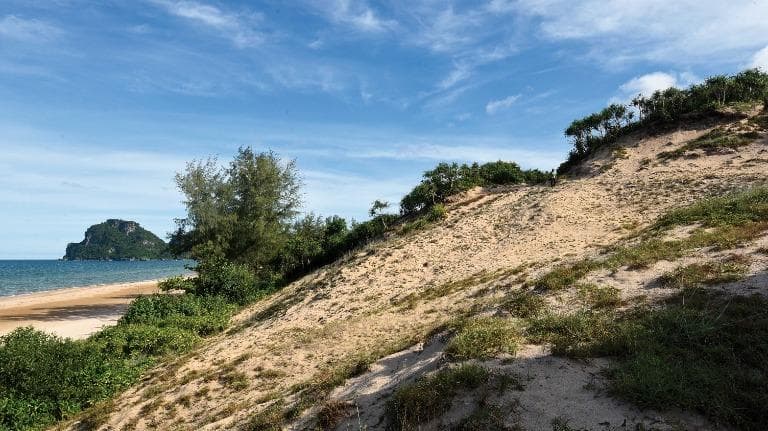 452 เนินทรายงามชุมพร หนึ่งเดียวในสยาม อนุรักษ์หรือทำลาย ?