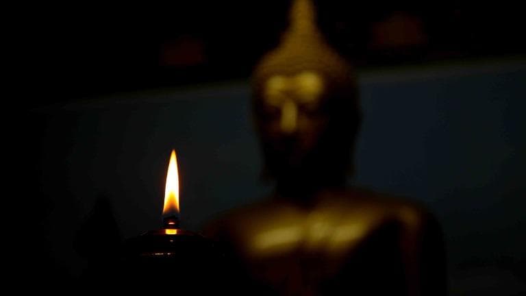 461 คน / ผี / มด