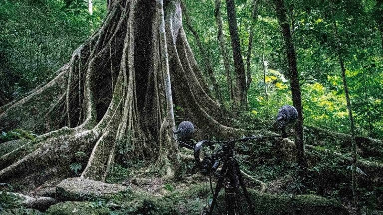 ลองอ่าน 464 Praisan : Playlist บรรเลงเสียงธรรมชาติ