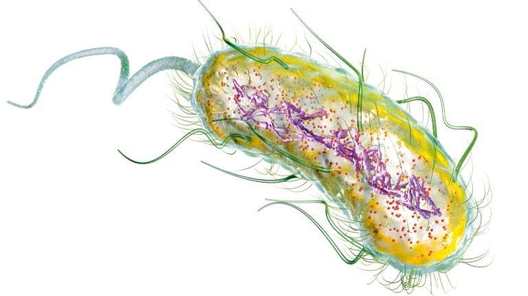 437 Bio-technology EP.02