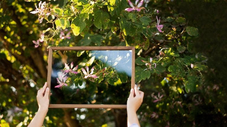 442 ธรรมชาติ ทํามาโชว์ โชว์เหนือ